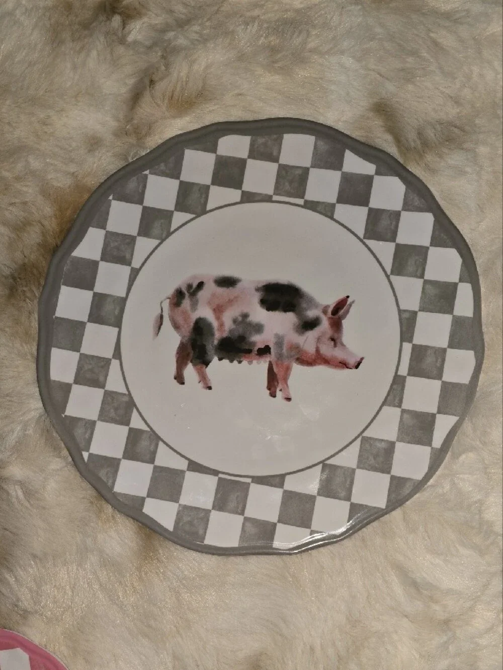 Farmhouse Checkered Dinner Plates Set - Blue, Gray, Yellow, Pink